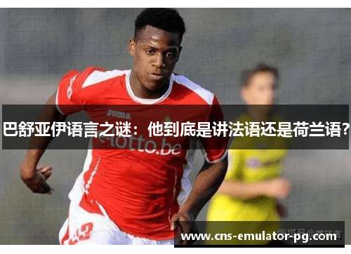 巴舒亚伊语言之谜：他到底是讲法语还是荷兰语？