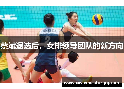 蔡斌退选后,女排领导团队的新方向 蔡斌退选后,女排领导团队的新方向