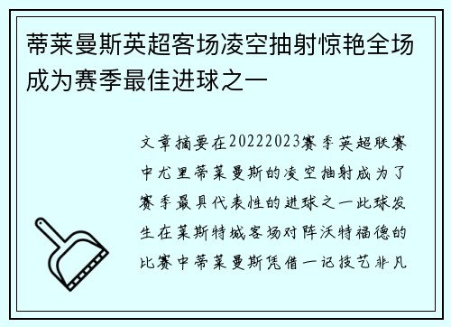蒂莱曼斯英超客场凌空抽射惊艳全场成为赛季最佳进球之一